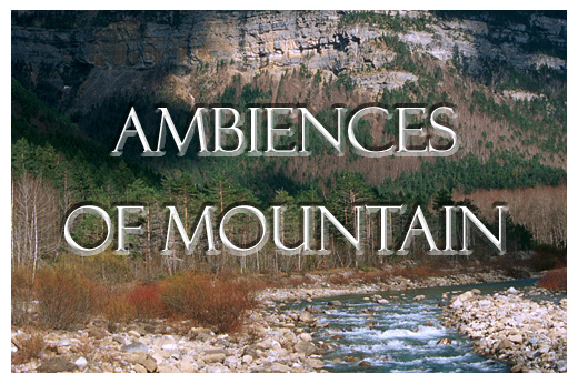 Consult the gallery - AMBIENCES OF MOUNTAIN