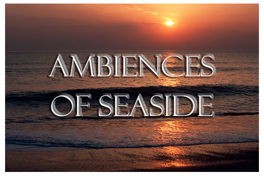 Consult the gallery - AMBIENCES OF SEASIDE