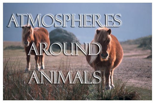 Consult the gallery - ATMOSPHERES AROUND ANIMALS